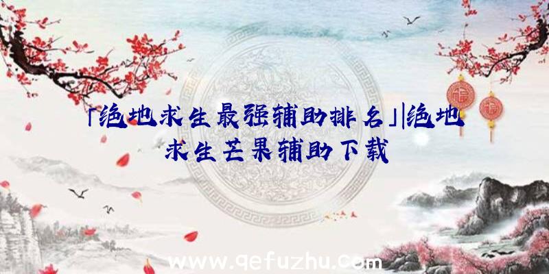 「绝地求生最强辅助排名」|绝地求生芒果辅助下载